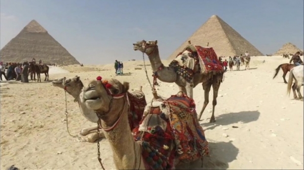 Приезжающим в Египет иностранцам не придётся возиться с бумагами